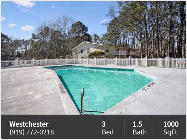 All you need and more: 3 BR, 1.5 BA in a vibrant community. - apts/housing for rent - apartment rent