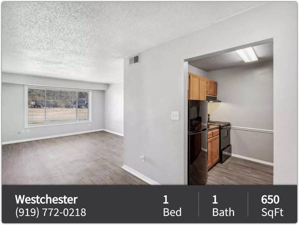 A fresh take on living: Explore our 1 BR, 650 Sq Ft spaces. - apts/housing for rent - apartment rent picture