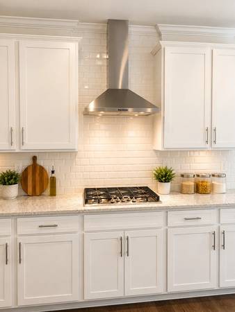 Like NEW 4-bedroom, 3-bathroom home in the desirable StoneRiver Subdiv - apts/housing for rent - apartment rent -... picture