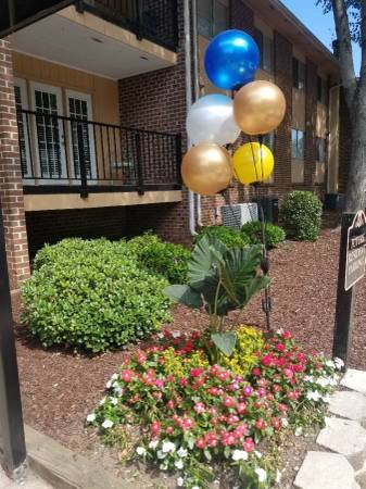 Stunning renovated 2 bed, 1 bath! Gorgeous floors, kitchens, &amp; more - apts/housing for rent - apartment rent -... picture