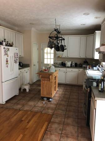 House for rent in beautiful house in Chapel Hill - apts/housing for rent - apartment rent picture