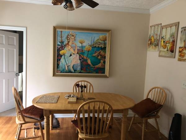 House for rent in beautiful house in Chapel Hill - apts/housing for rent - apartment rent picture