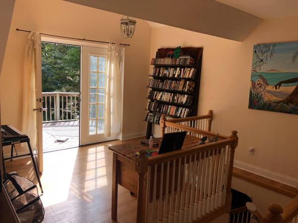 House for rent in beautiful house in Chapel Hill - apts/housing for rent - apartment rent picture