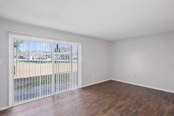 This is it! The ideal 1 bed 1 bath! Close distance to the campus - apts/housing for rent - apartment rent picture