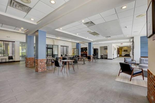 Lease Today Get Month 3 FREE at Vivo Living Raleigh - apts/housing for rent - apartment rent picture
