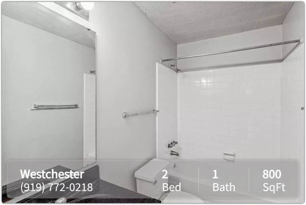 Dog and Cat-Friendly 800 SqFt 2 Bed / 1 Bath! Pets Welcome Here! - apts/housing for rent - apartment rent picture