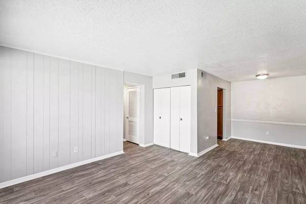 Dog and Cat-Friendly 800 SqFt 2 Bed / 1 Bath! Pets Welcome Here! - apts/housing for rent - apartment rent picture