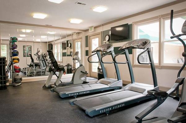 Looking for a beautiful space? You've come to the right place! - apts/housing for rent - apartment rent picture