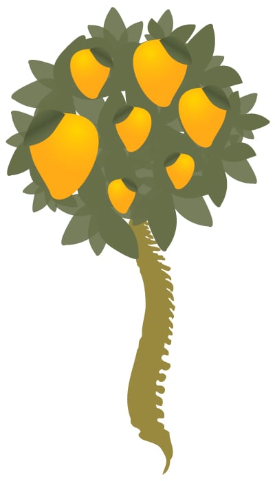 Mango Chiropractic picture