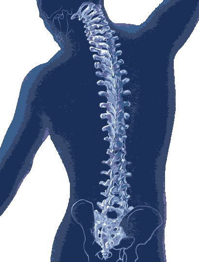 Bellport Chiropractic Center picture