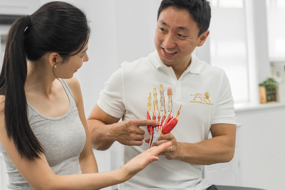 Lion Physical Therapy picture