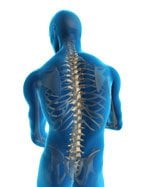 North Williamsburg Chiropractic picture