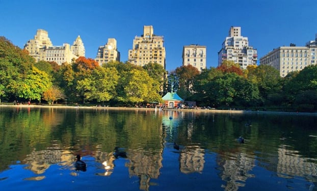 Cory Gold DC - New York Chiropractic Associates picture