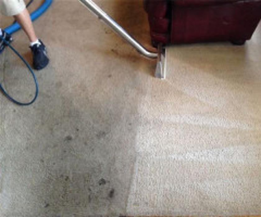 Nelson Carpet Cleaning picture