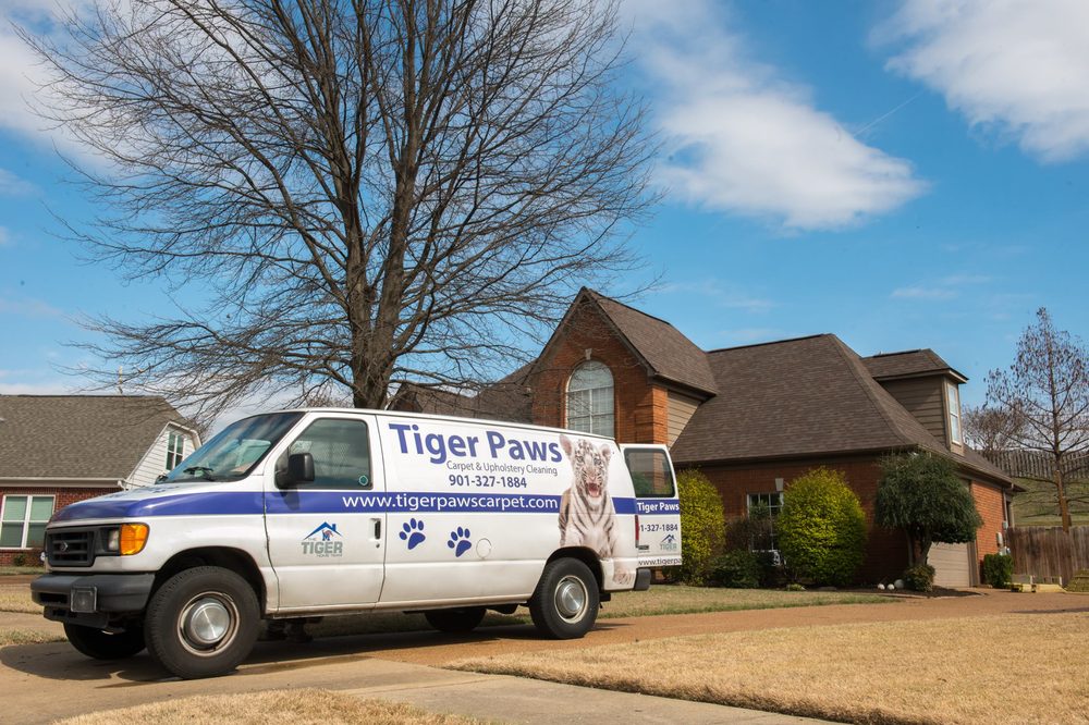 Tiger Paws Carpet &amp; Upholstery Cleaning picture