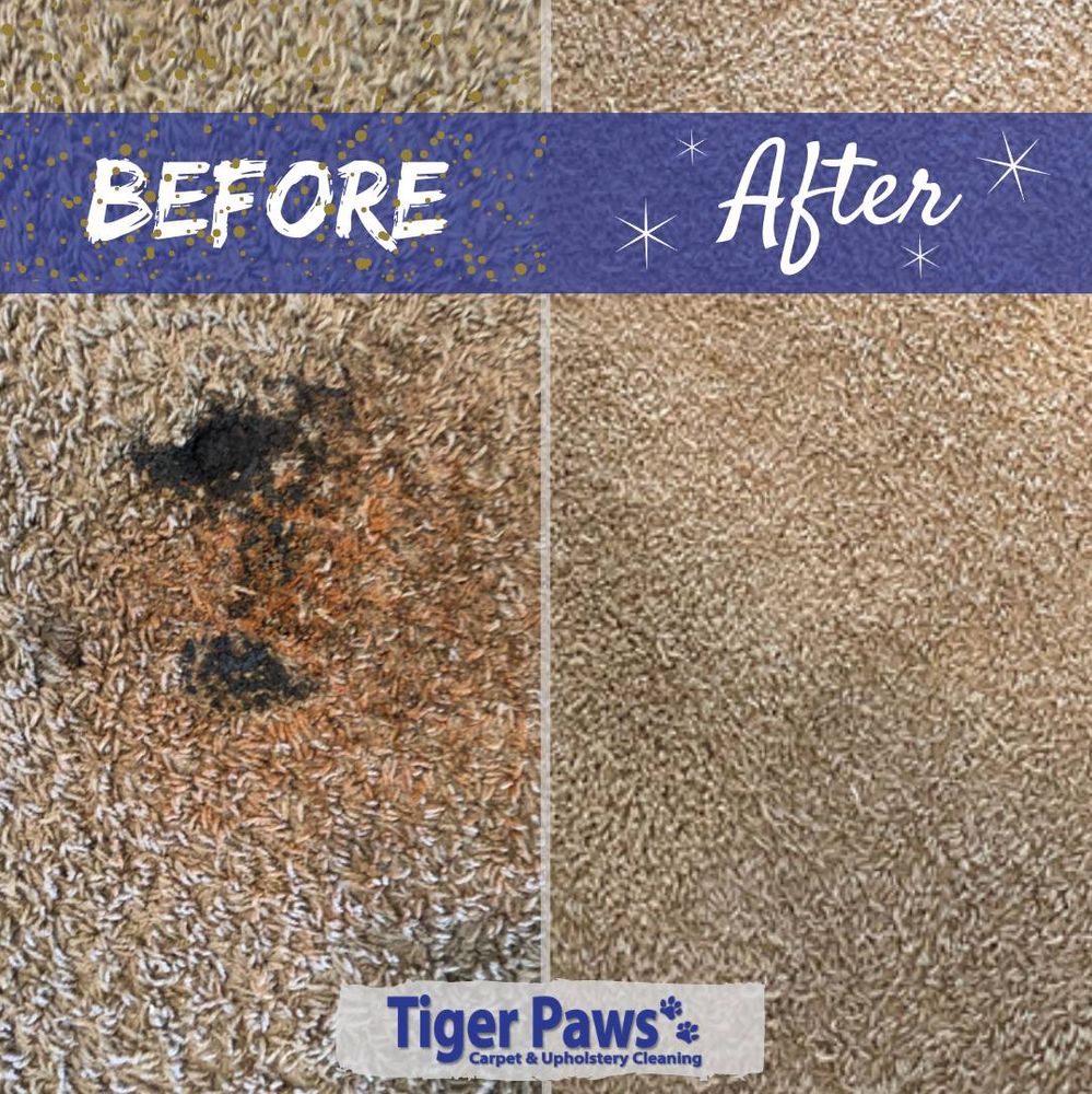 Tiger Paws Carpet &amp; Upholstery Cleaning picture