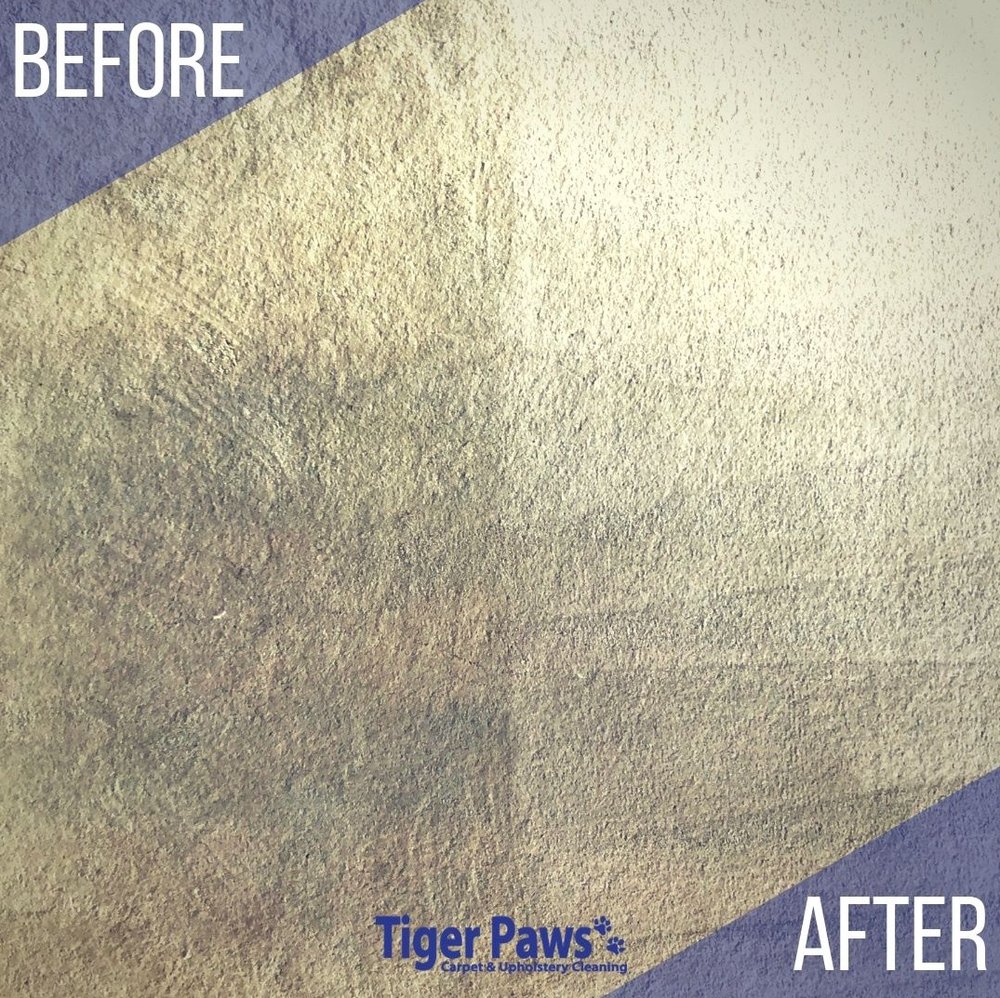 Tiger Paws Carpet &amp; Upholstery Cleaning picture