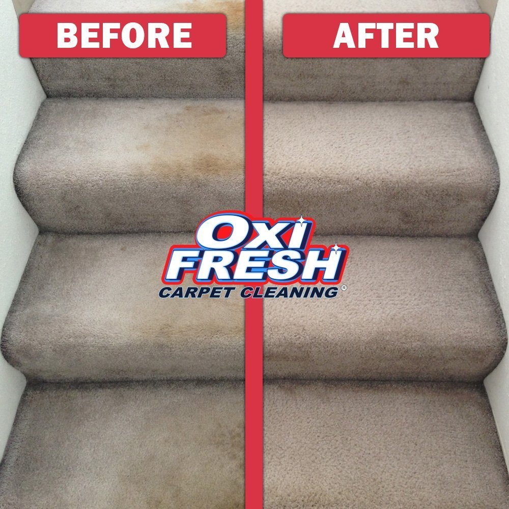 Oxi Fresh Carpet Cleaning picture