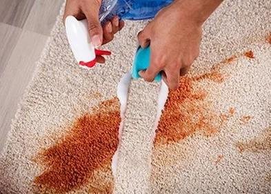 A-1 Carpet Cleaners picture