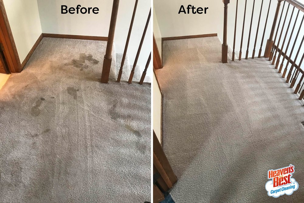 Heaven's Best Carpet Cleaning picture