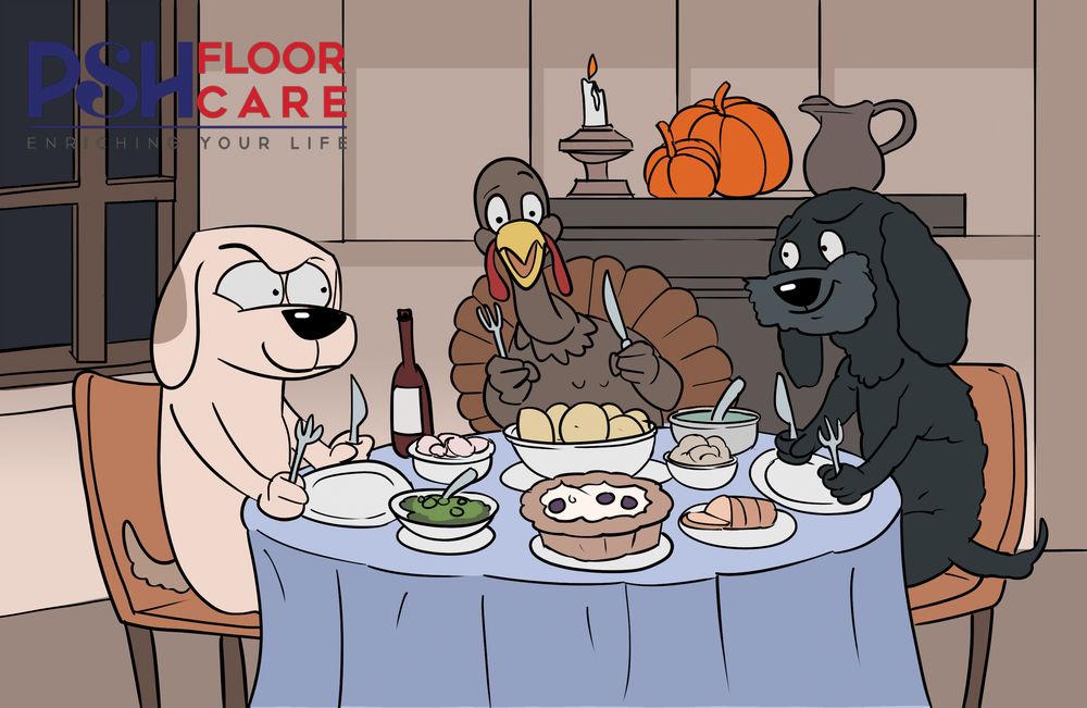 PSH Floorcare picture