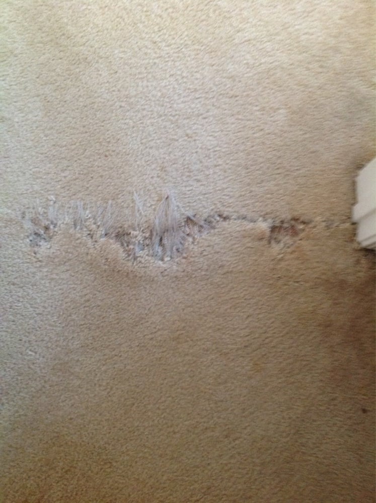 Memphis Carpet Repair &amp; Cleaning picture