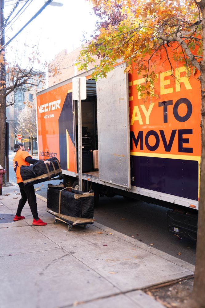 Vector Moving picture