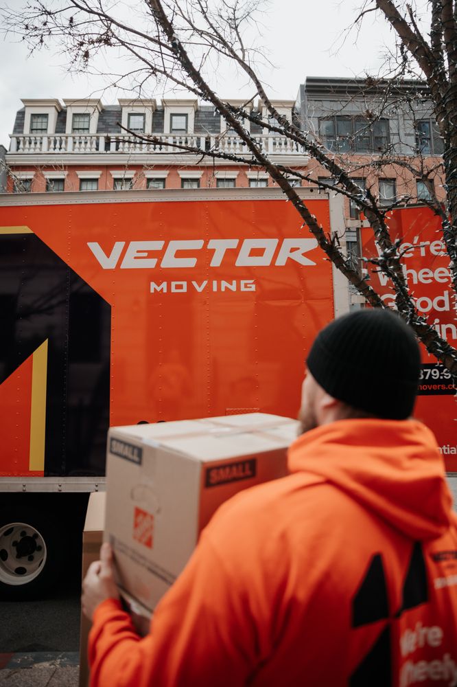 Vector Moving picture