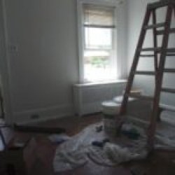 Residential and Commercial Painting Services  ** CALL or TXT +1(917) 651-8495 picture