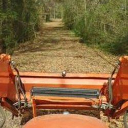Tree removal landscaping -Bush hogging -land clearing services (Memphis) picture